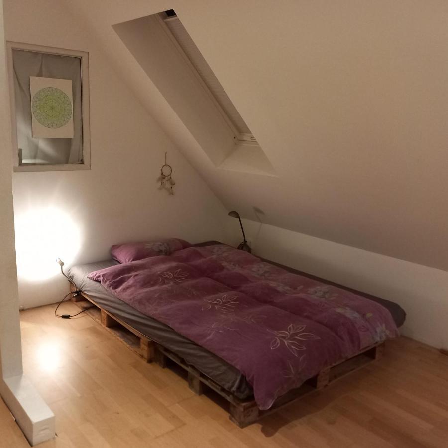 Haus 'Am Emberg' Apartman Köln Kültér fotó